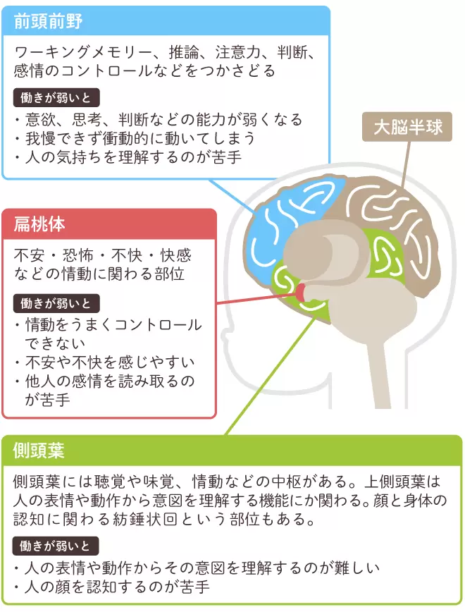 アスペルガー症候群（ASD／自閉スペクトラム症）の原因は？遺伝する