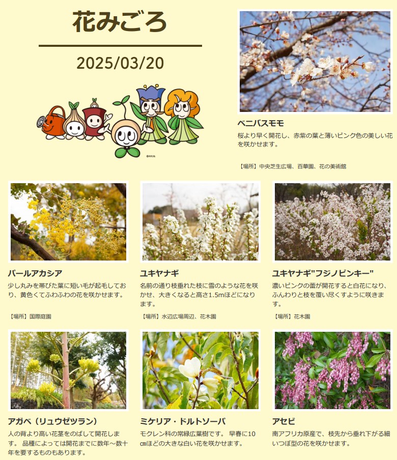 過去記事：【3/21 花の見頃情報】各地で春を告げる花が続々開花