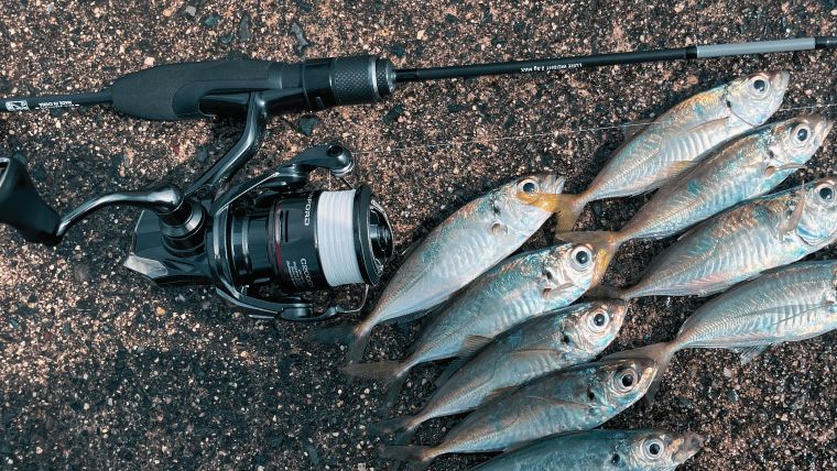 インプレ】24ヴァンフォードでアジング実釣徹底レビュー！