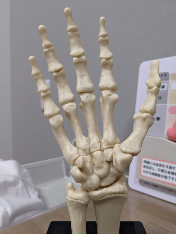 骨密度で来年を占おうYo！ | はまさきクリニック