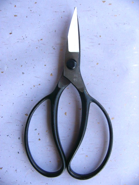 岡恒 植木鋏A型 210mm No.201SN - 川口金物店