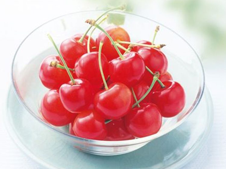 月山錦（がっさんにしき） | hanafru FRUIT Navigation | hanafru