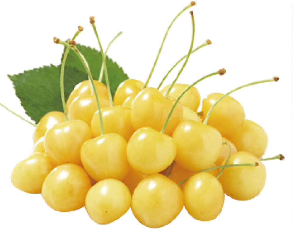 月山錦（がっさんにしき） | hanafru FRUIT Navigation | hanafru