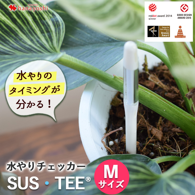 サスティー Sのみの購入はできません※【お花にプラスワン】水やり