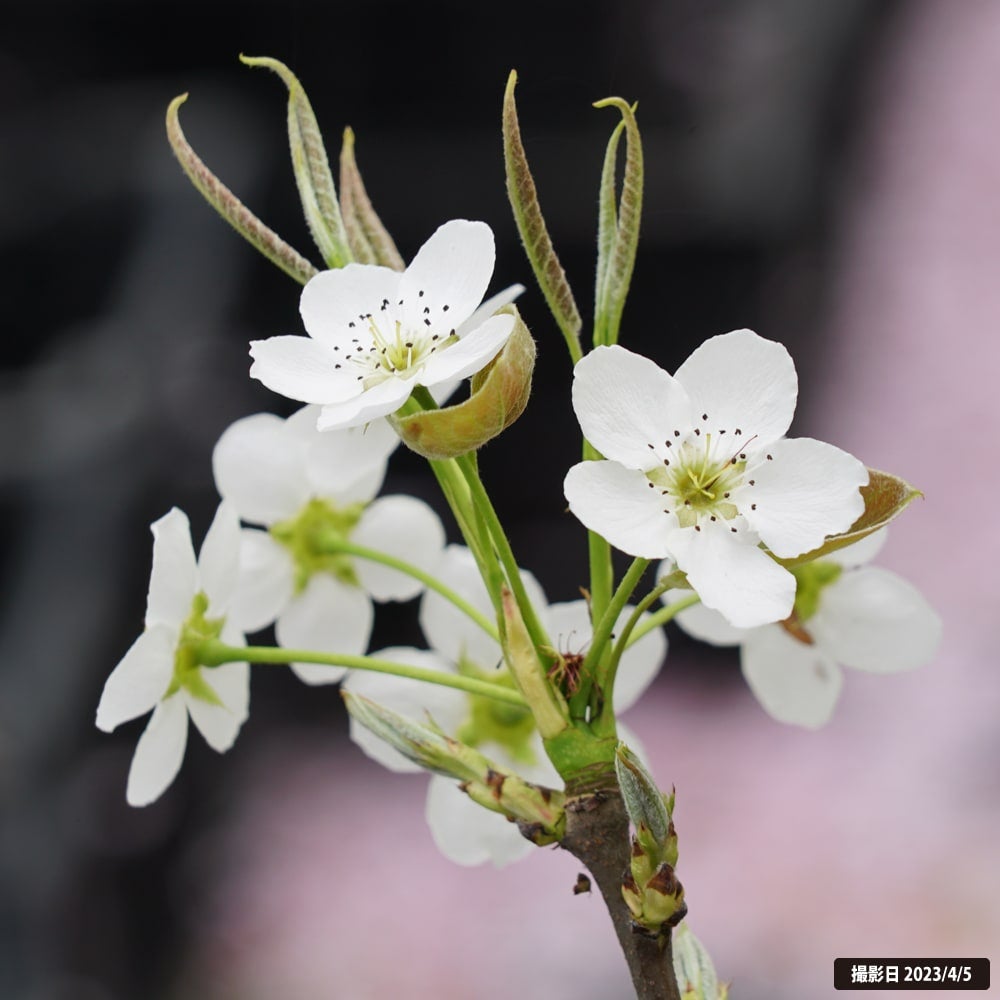 000000043172-02.jpg?size=l&w=