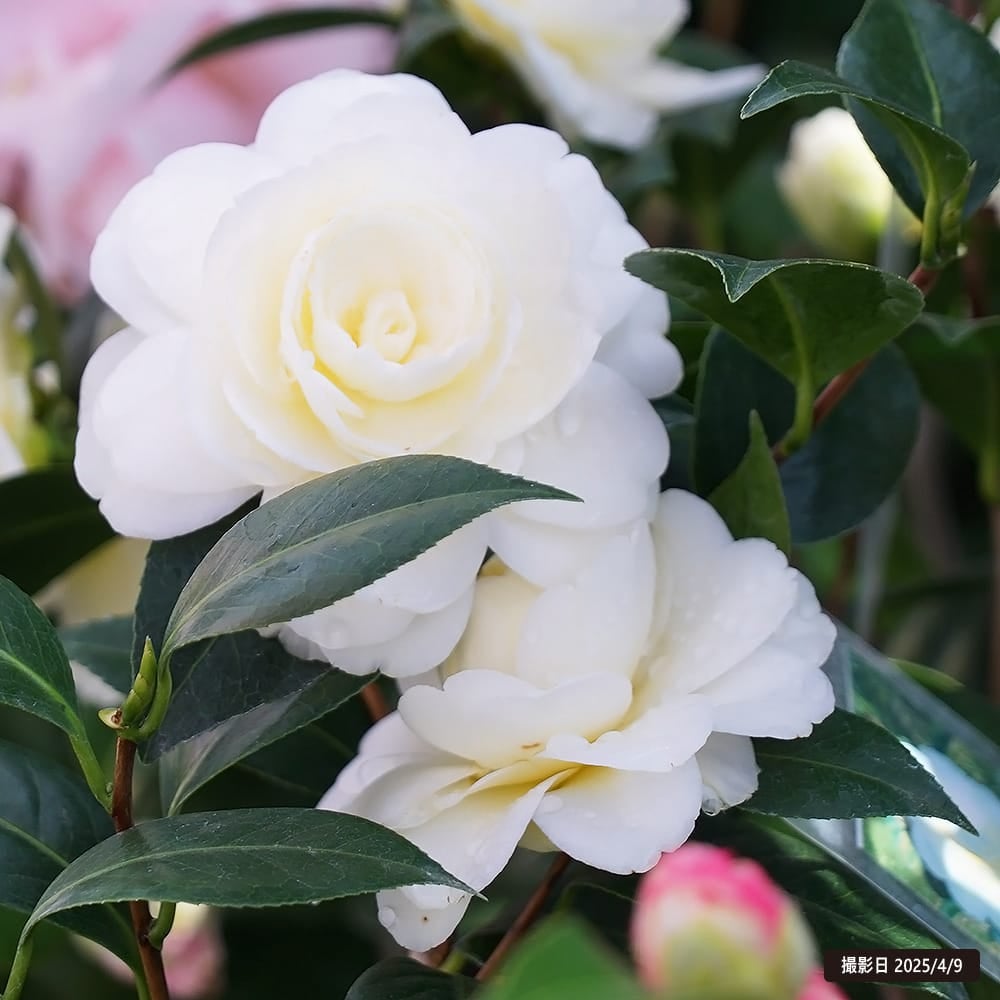 000000049170-07.jpg?size=l&w=