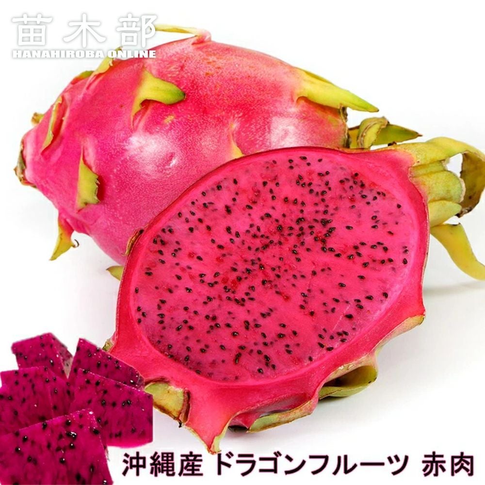 000000015334-01.jpg?size=l&w=