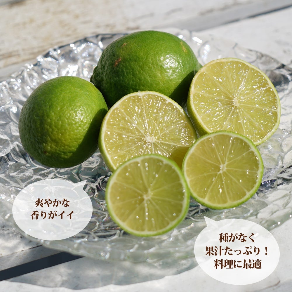 000000033041-02.jpg?size=l&w=