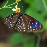 e3adde139c1df43e8753bee17f81e1