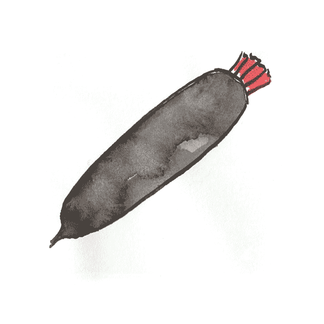 Radis Noir Paris | 空想ガストロノミー | ARCHIVE | 花椿 HANATSUBAKI