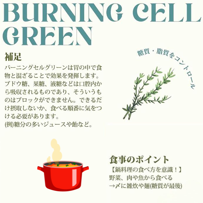 BURNING CELL 糖質・脂質カットサプリ GREEN - 韓美-HANMI-ハンミ公式