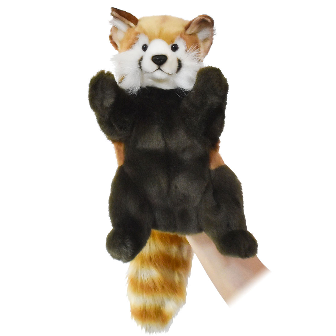 ハンドパペット レッサーパンダ 20 | HANSA
