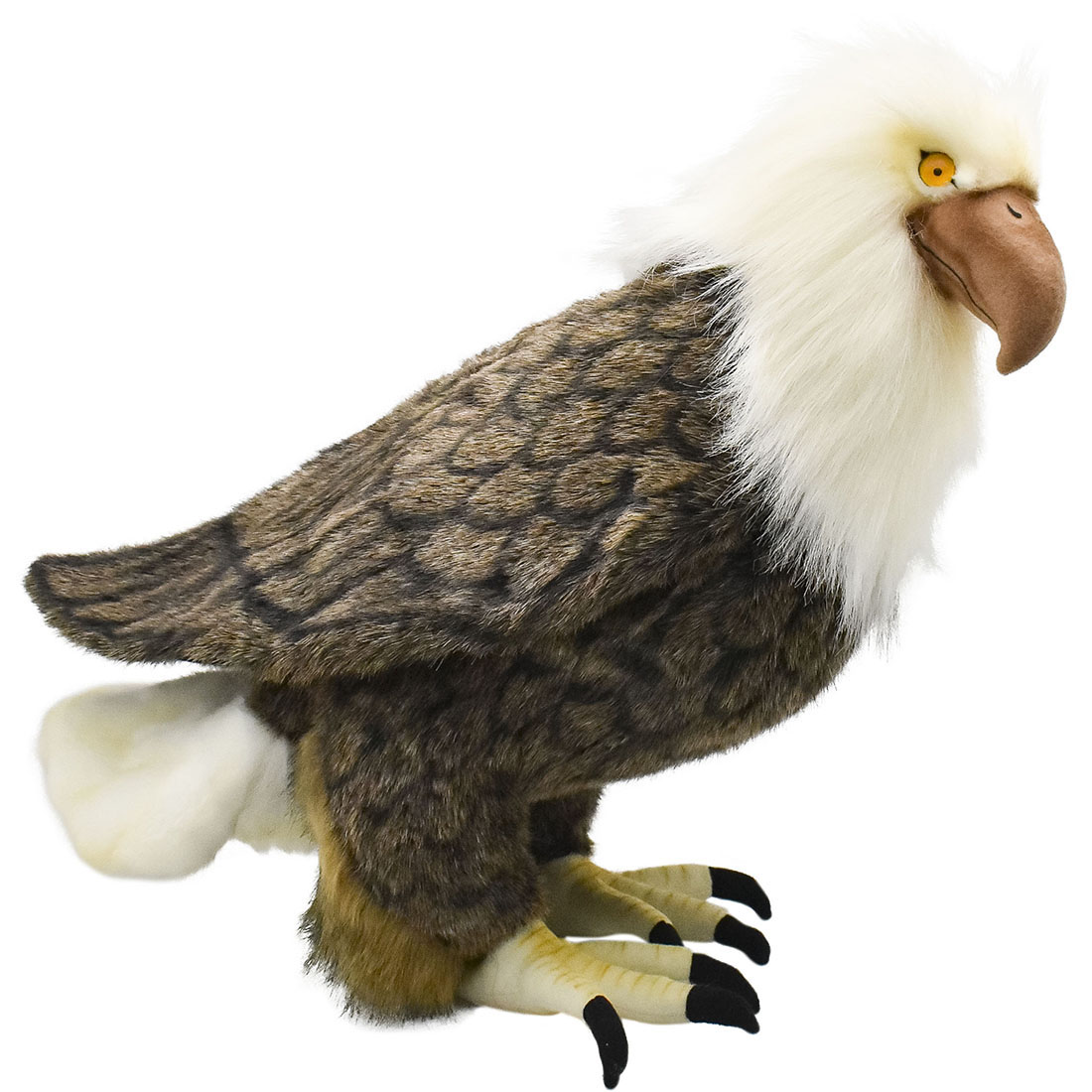 ハクトウワシ 45 | HANSA