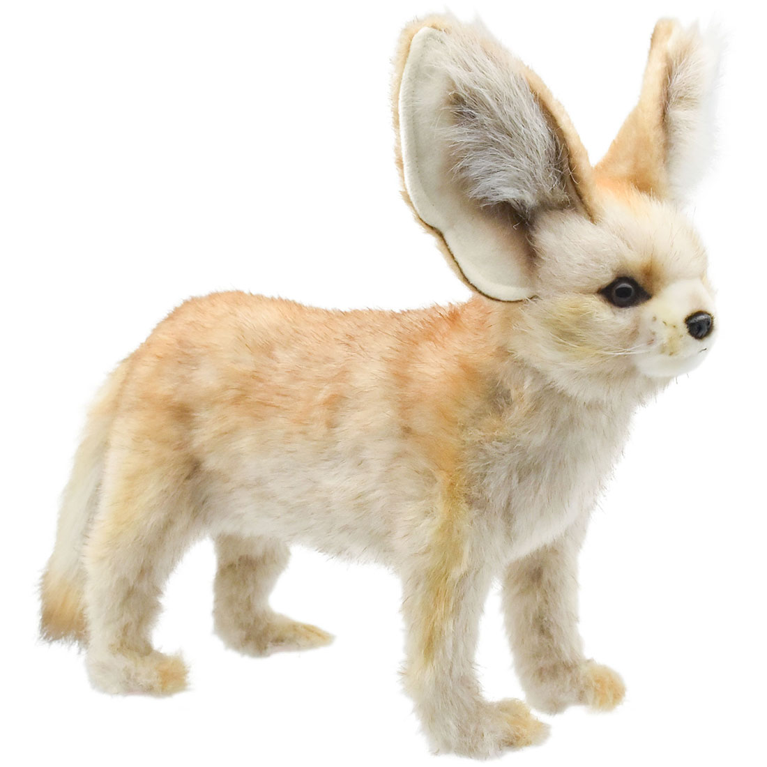 フェネック 35 | HANSA