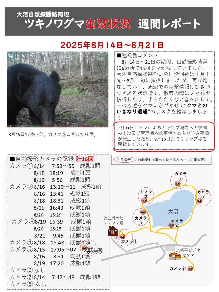 クマ情報】週間レポート8/14 ～8/21（大沼後生掛地区） | 八幡平