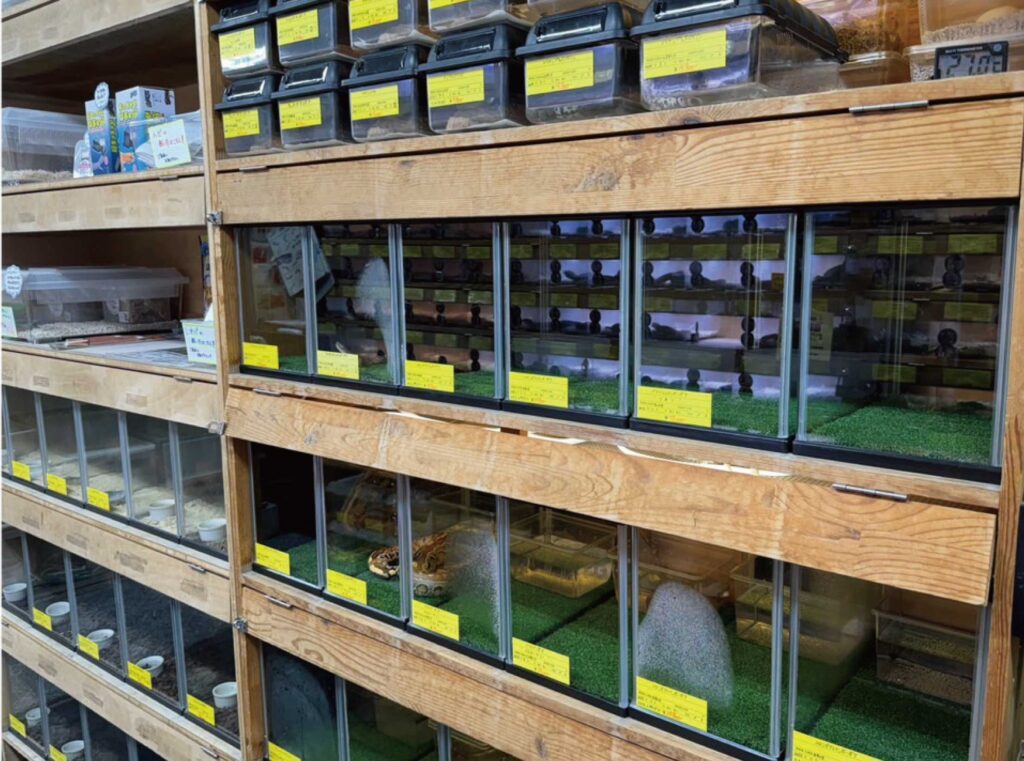 爬虫類倶楽部 大宮店