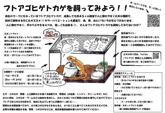 飼育ケージに関する記事一覧