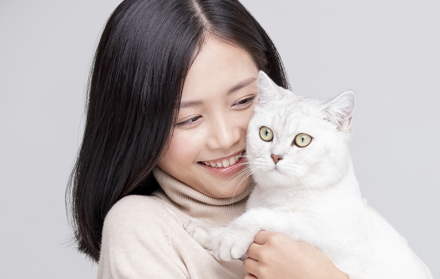 キャットケアスペシャリスト講座|通信教育講座で資格なら「ヒューマン