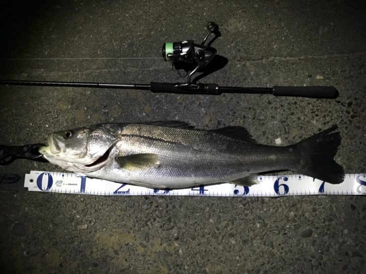 18ディアルーナS90MLのインプレ！ワインド、エギングも出来る万能