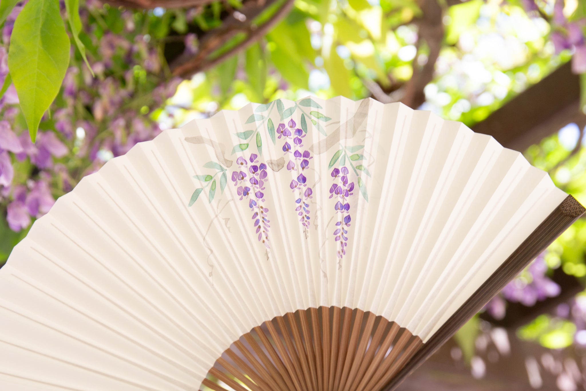 藤の花特集 – 白竹堂オンラインショップ