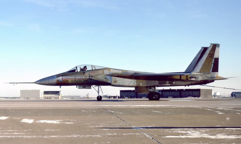 技MIX F-15A STREAK EAGLE 未組立 The Streak Eagle, the F-15 that