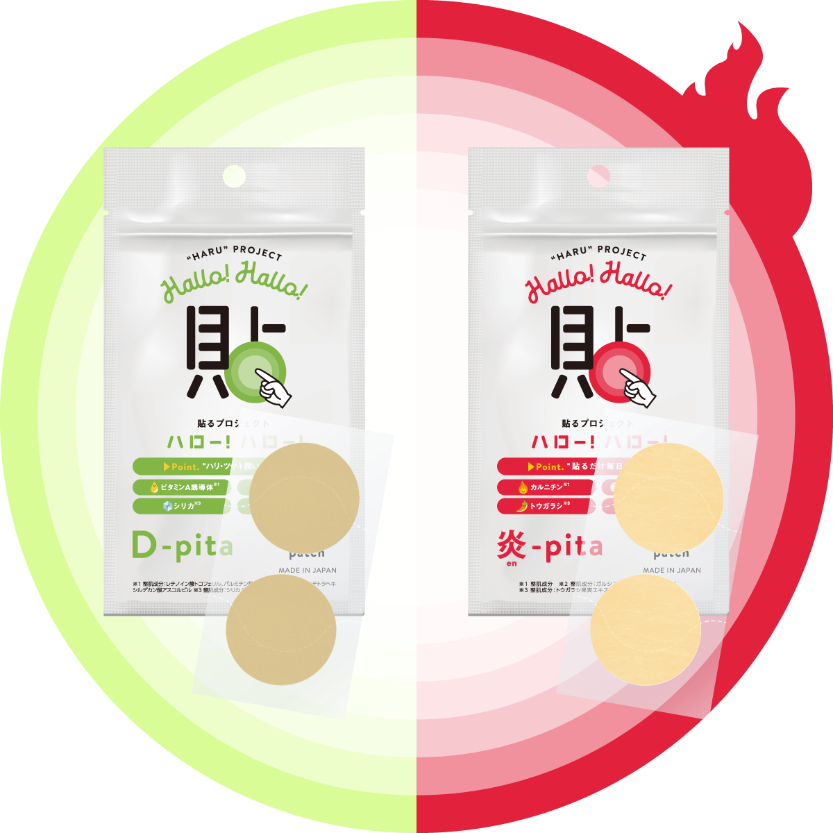貼るプロジェクト ハロー!ハロー! 炎-pita 12セット新品未使用 4ヶ月分