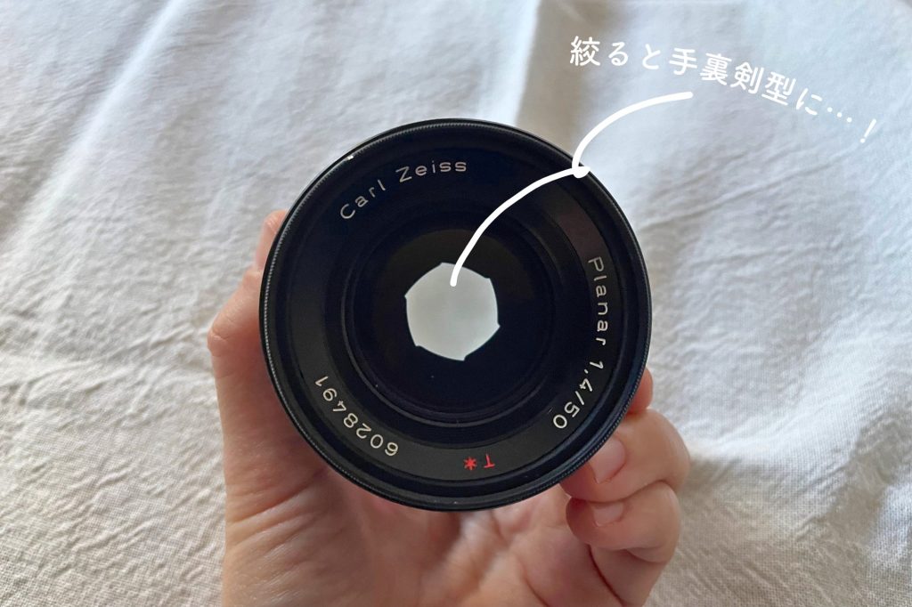 作例多数】オールドレンズCarl Zeiss Planar 50mm F1.4 「空気を写す