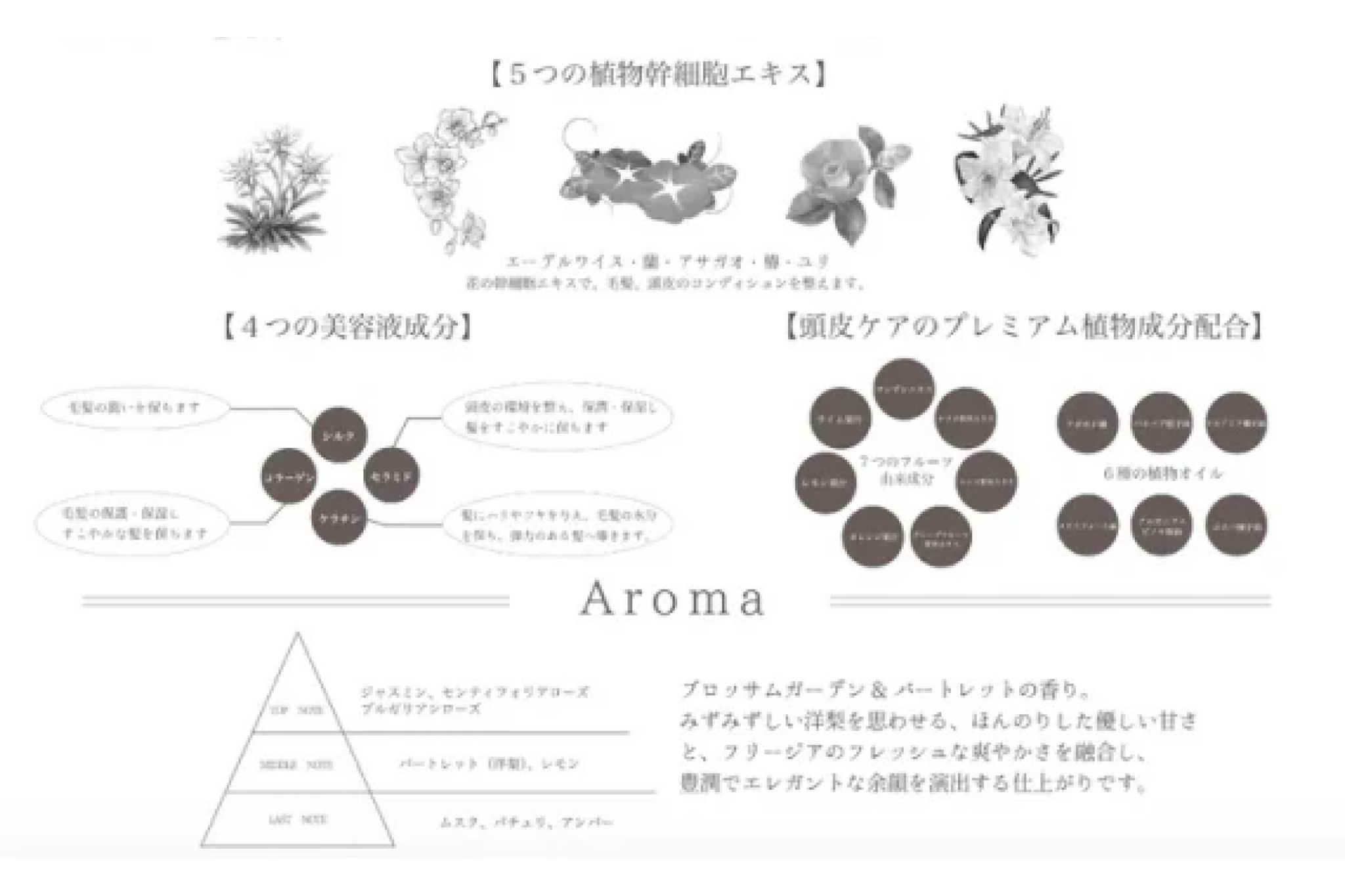 公式】soiré ソワレ シャンプー&トリートメント 詰め替えセット 1000ml