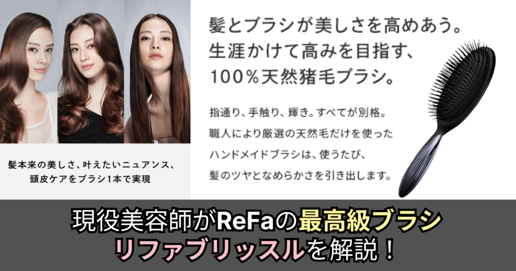 refa-bristle-eyecatch-1024x538.png