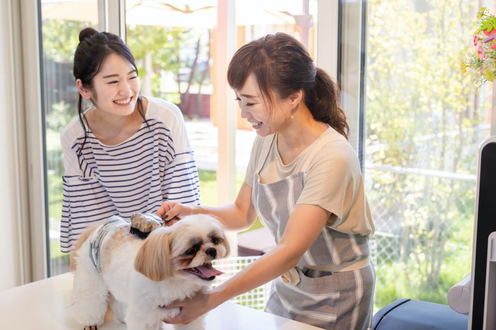 2025年版】トリマー初心者におすすめのトリミングハサミを種類別