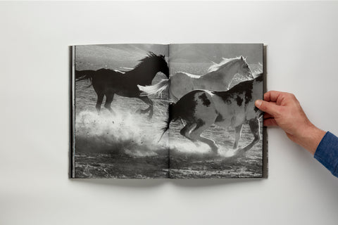 Candy Mountain by David Black – Hat & Beard Press