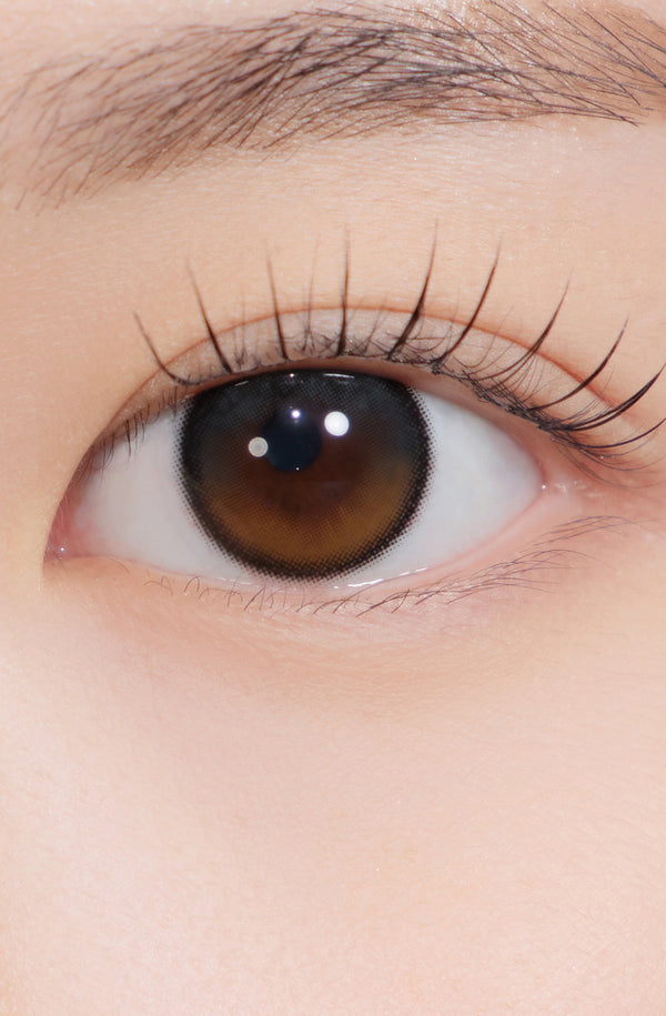 Hapa Kristin] Secretive Kristin Plus - ブラック 1ヵ月用