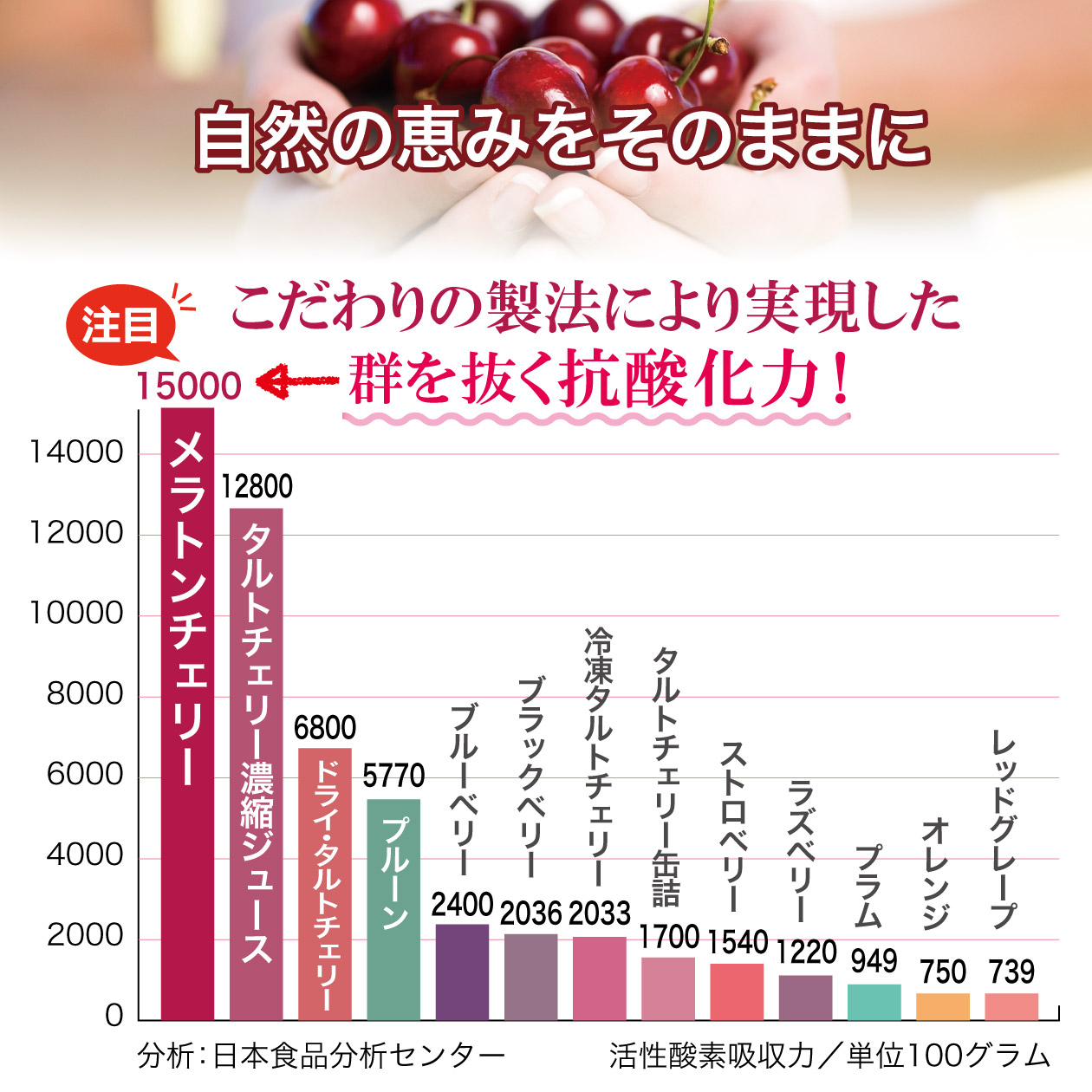 メラトンチェリー | ハピデリ