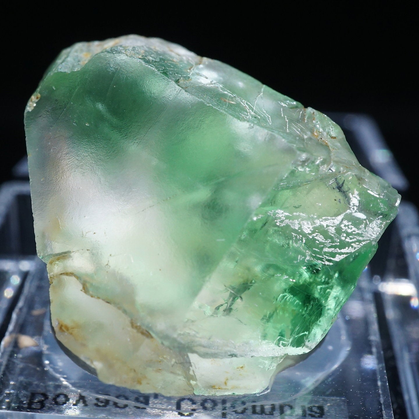 95629-2_1440x.jpg?v=1699347068