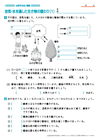 小学6年生 理科 学習問題プリント｜ちびむすドリル【小学生】