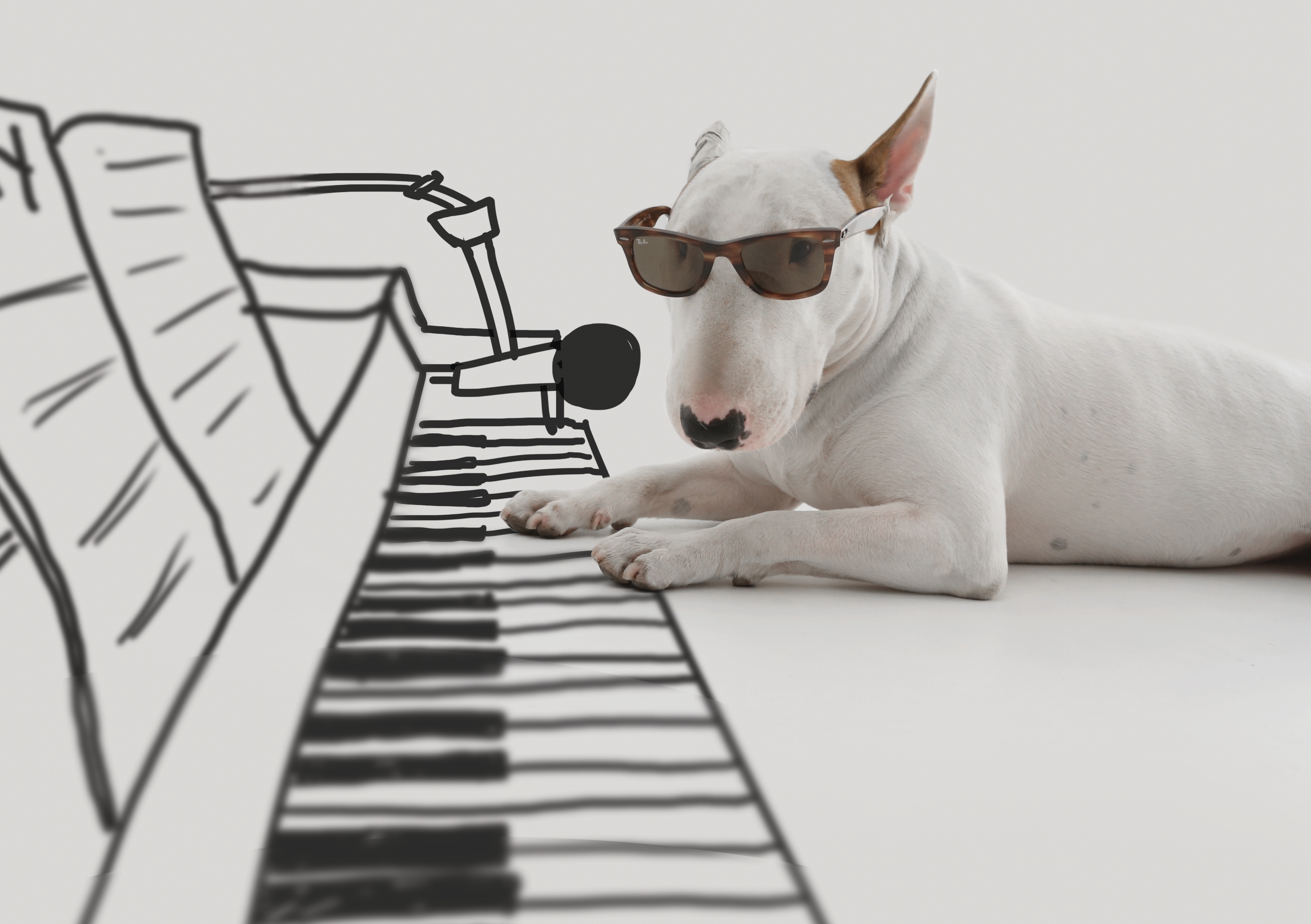 アート・デザイン・音楽 ONE DAY: LIFE WITH A DOG ONE DAY ?LIFE WITH