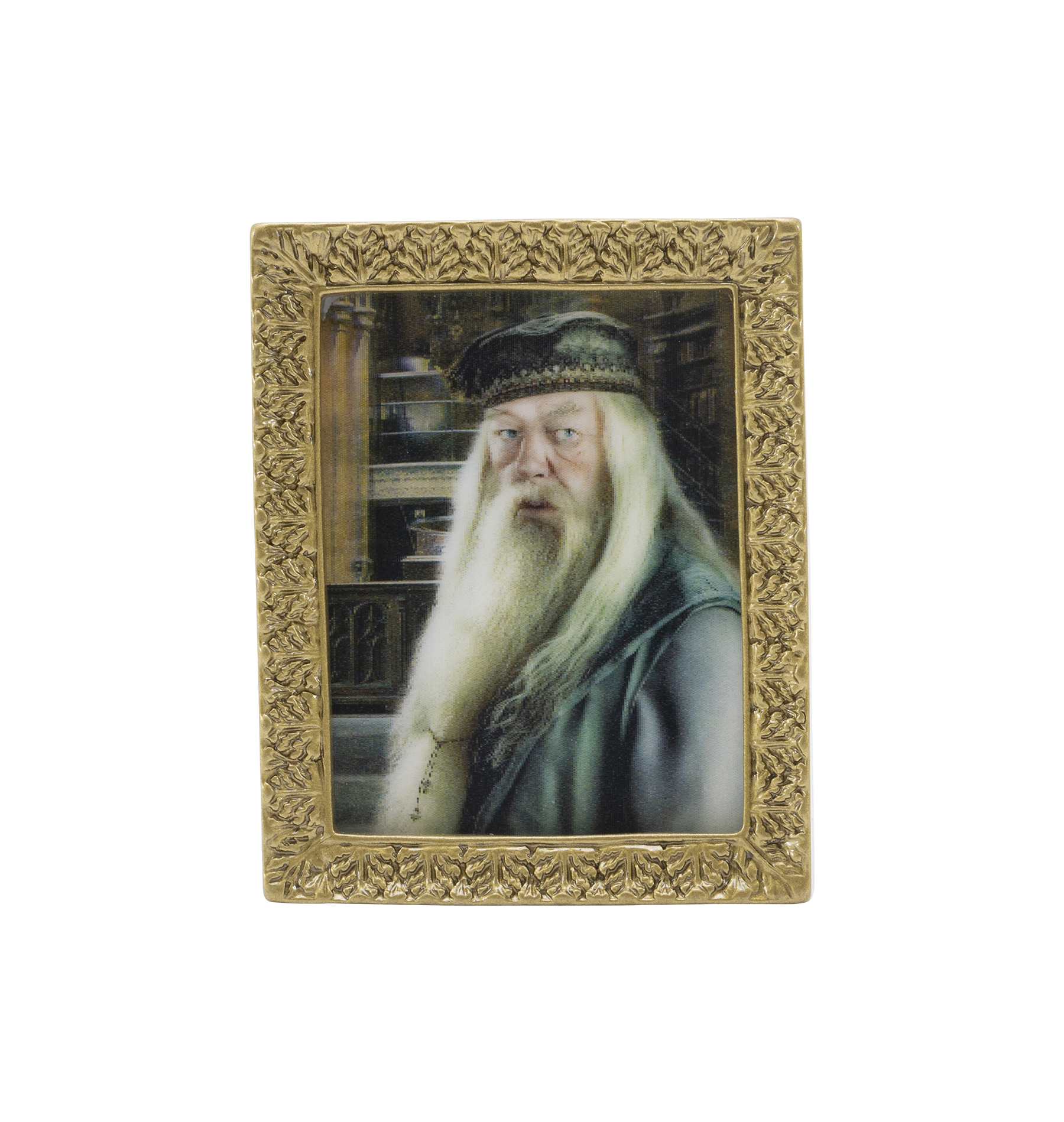 ハリー・ポッター 肖像画マグネットコレクション | ハリー・ポッター