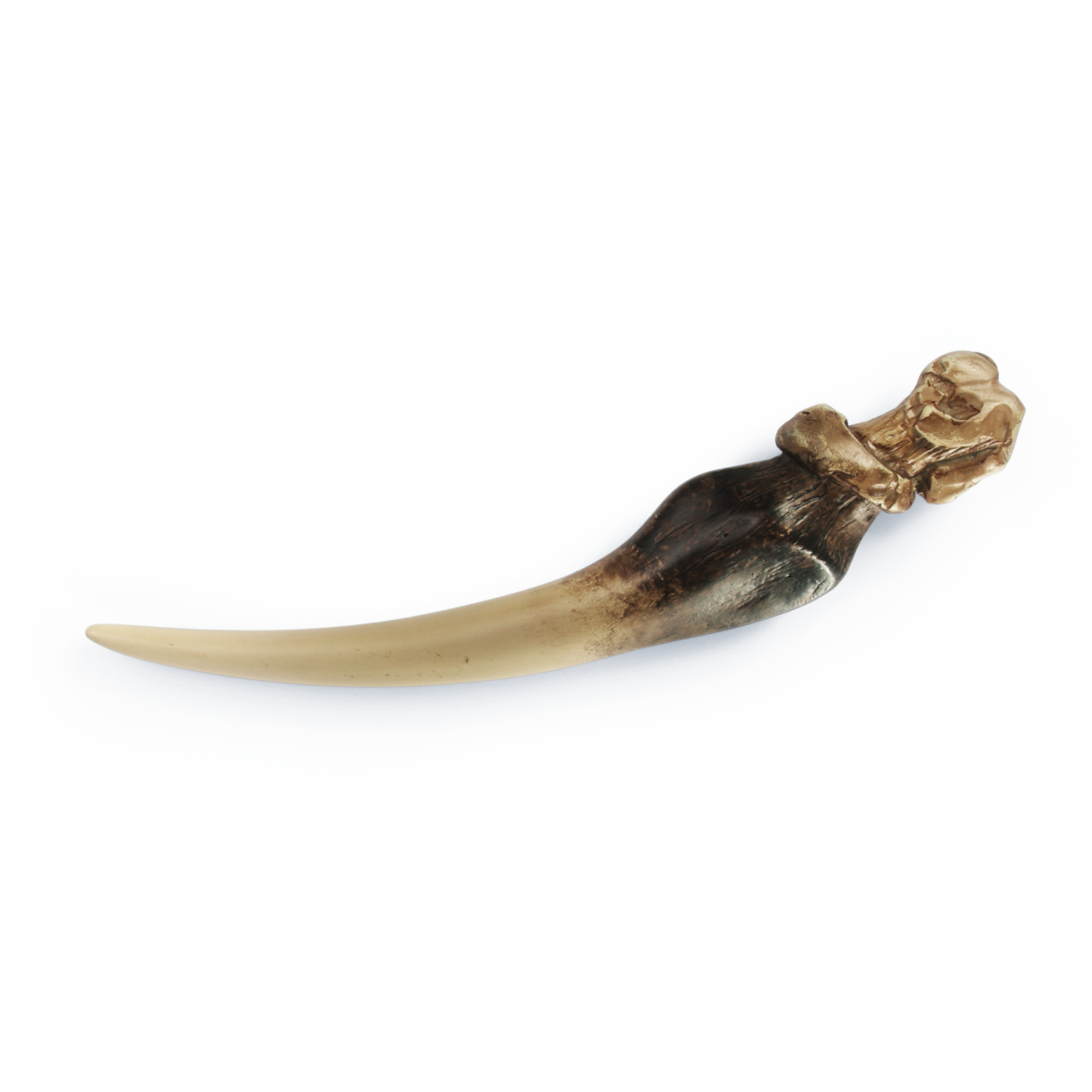 トム・リドルの日記帳 バジリスクの牙｜ハリー・ポッター ショップ