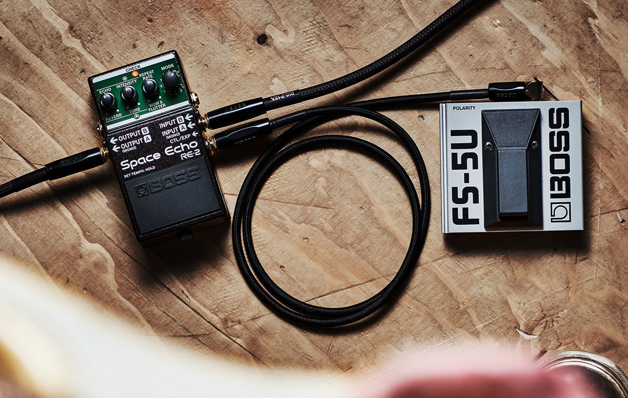 Boss RE-2 Space Echo – Harry's Guitar Shop
