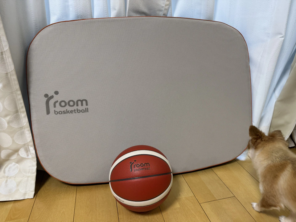 室内でバスケのドリブル練習ができるroombasketballは通常ボールでも