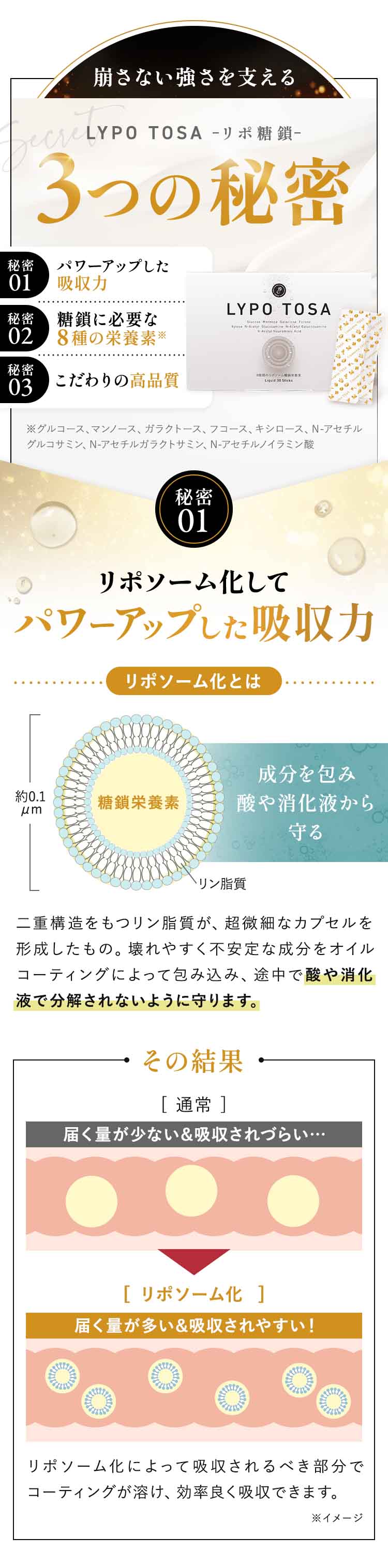 リポ糖鎖（とうさ）液状タイプ