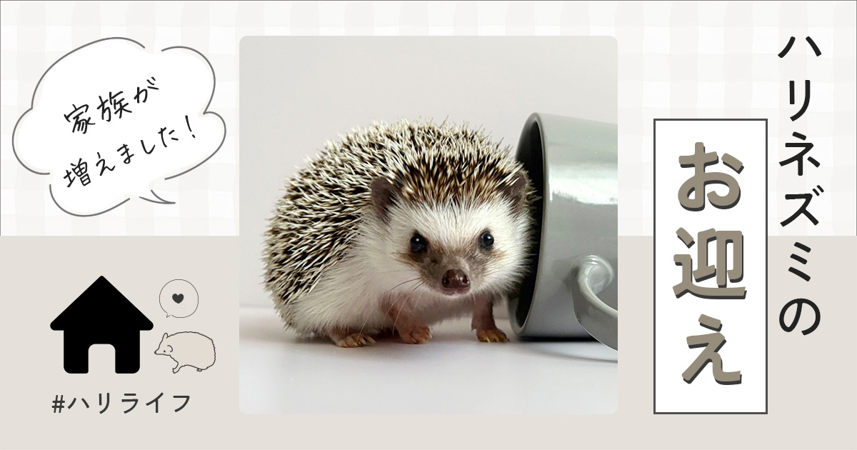 a7b53c7caed58d92caf3e40f7b88b5