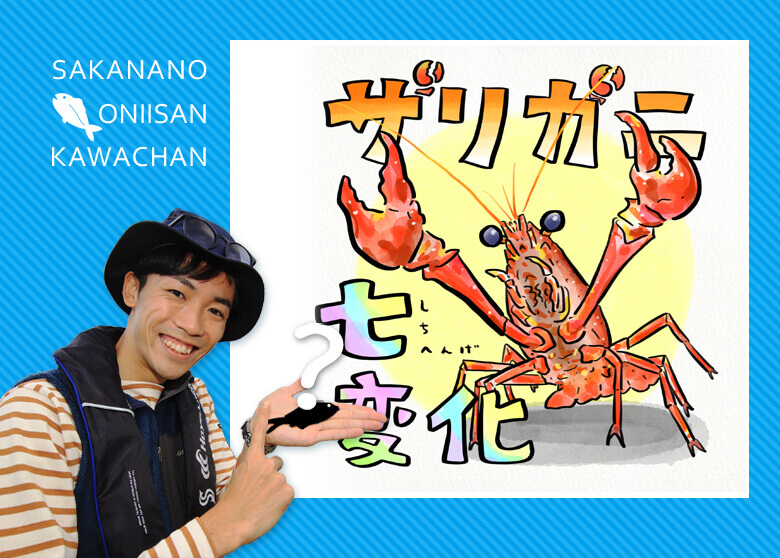 ザリガニ釣りが100倍楽しくなる豆知識！ | 知って得する！川田一輝のお