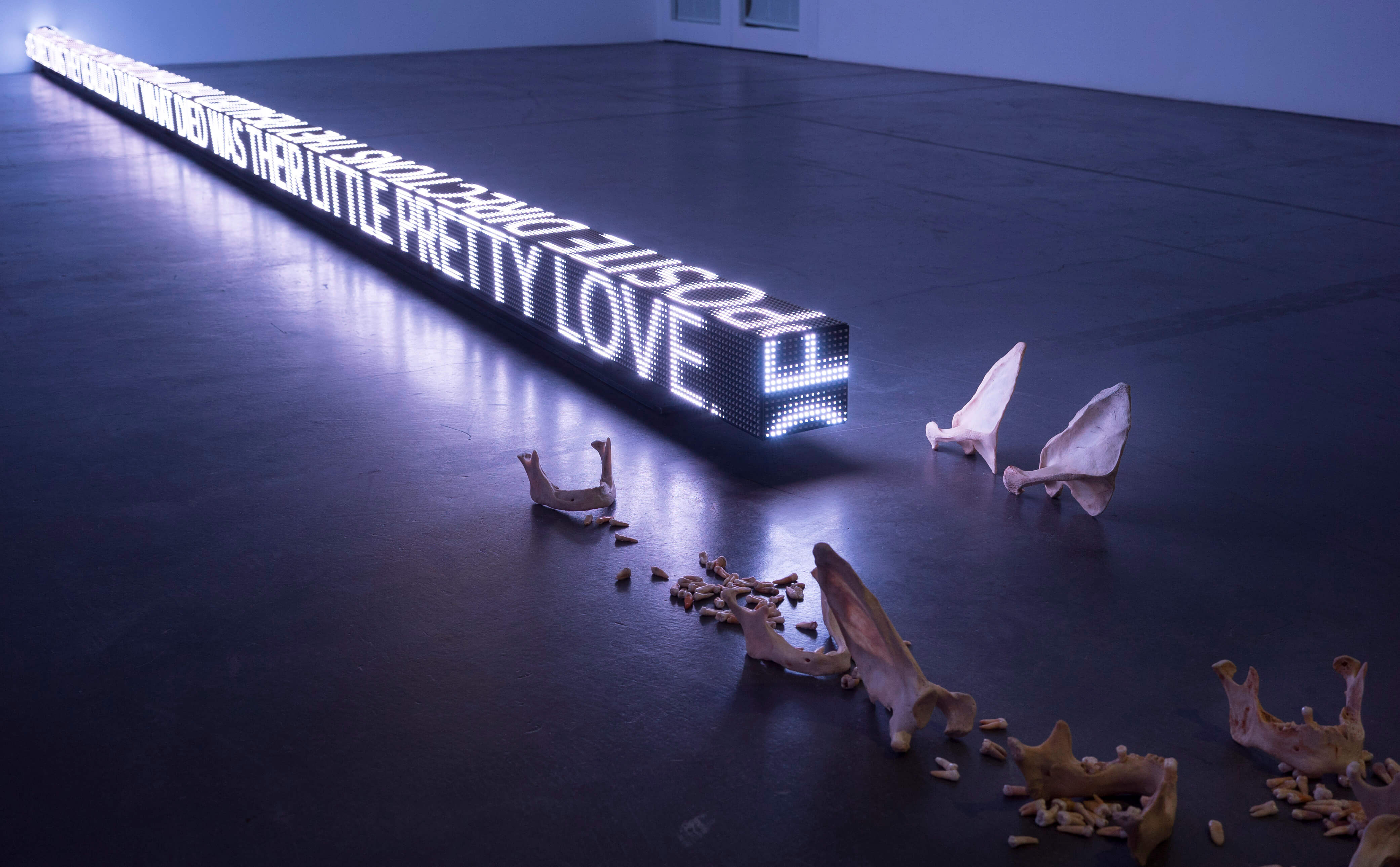 アートが好きじゃなくても理解してもらいたい」フェミニスト作家