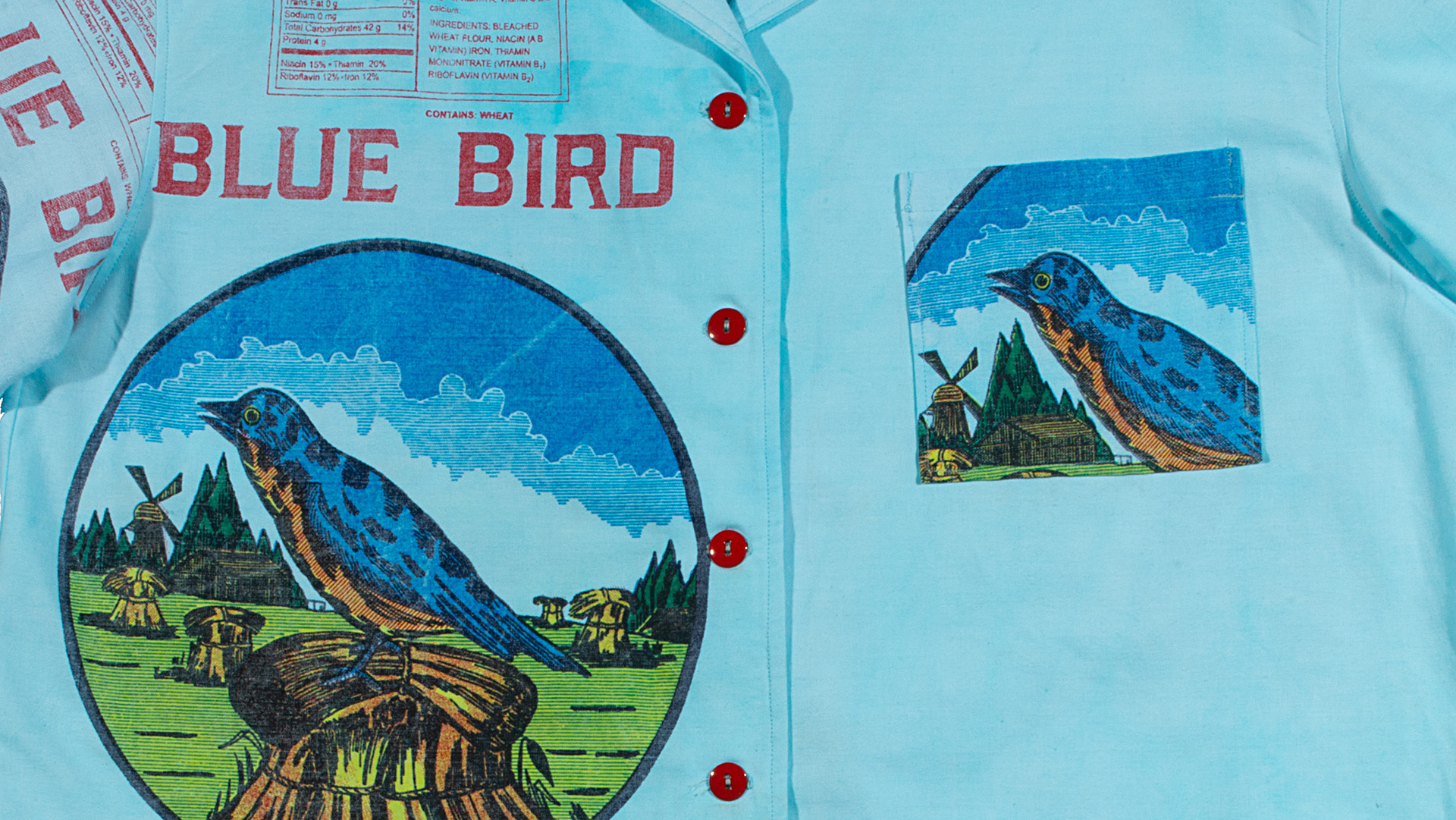 First Friday - February 6, 2026 | Blue Bird Exhibition Opening