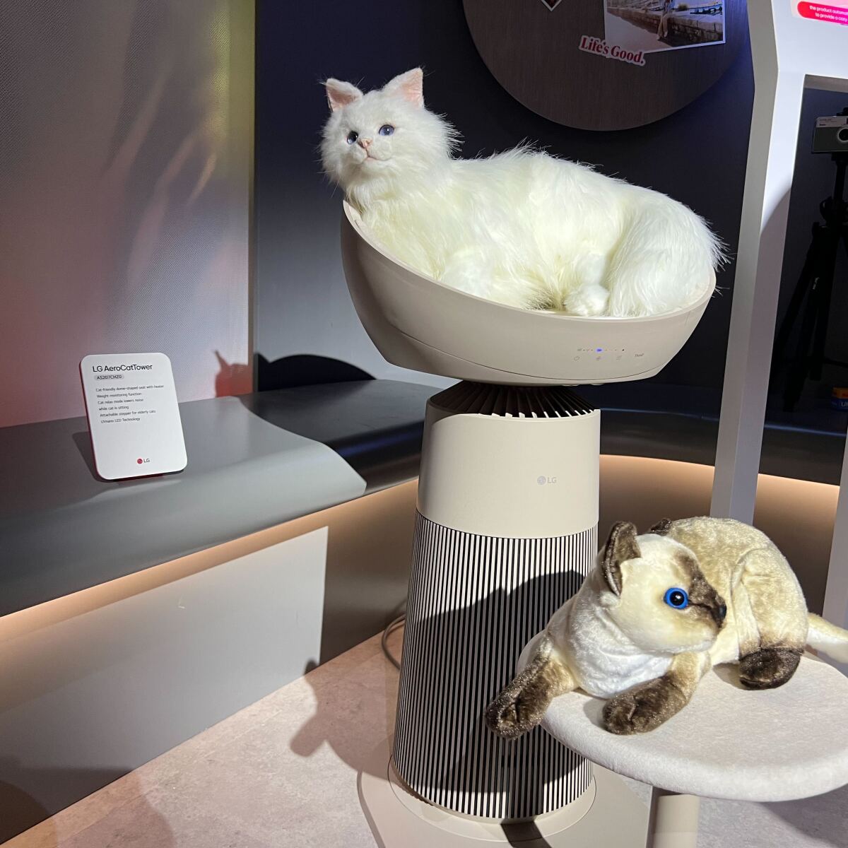 CES 2025: LG's air-purifying cat tower is purrfect for pet owners
