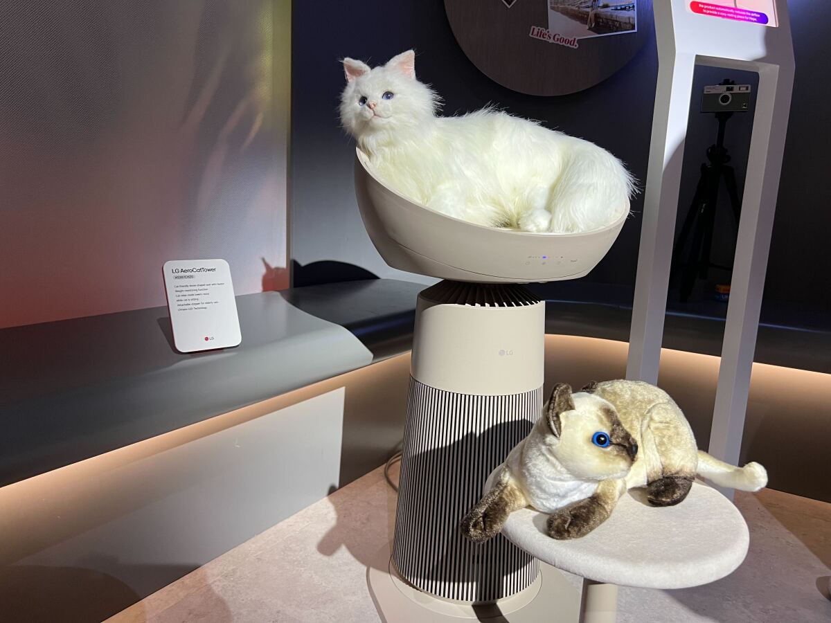CES 2025: LG's air-purifying cat tower is purrfect for pet owners