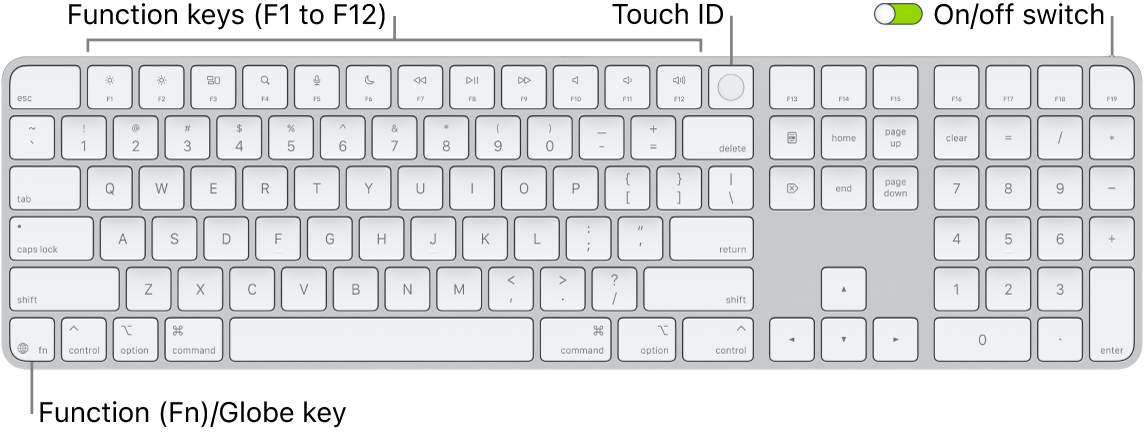 Magic Keyboard with Touch ID - Apple Support (TM)