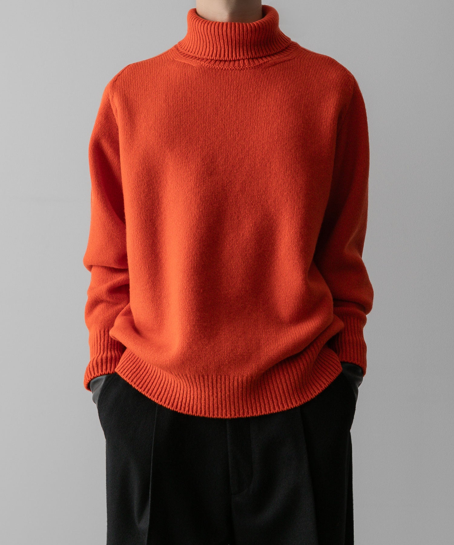 ssstein / シュタイン】EXTRA FINE WOOL WARM KNIT TURTLE NECK LS
