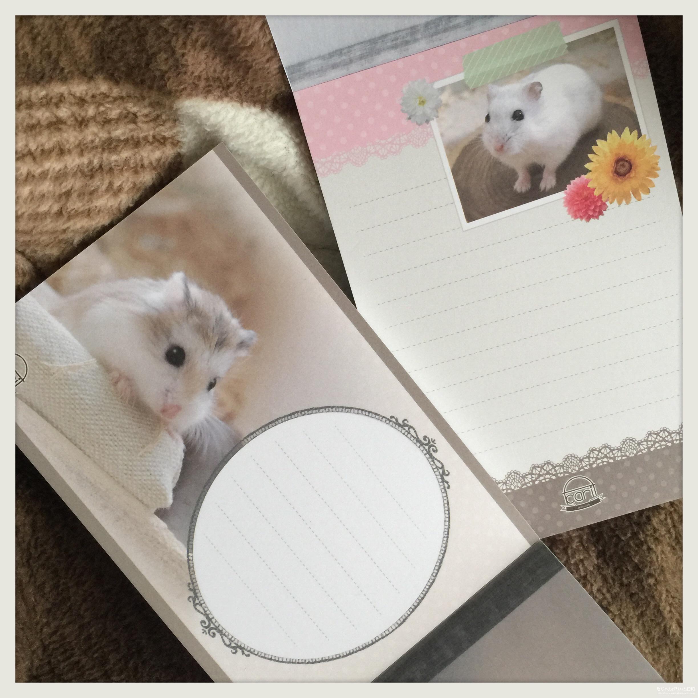 ハムスターのガーリーなメモ帳・販売開始しました！ | じゃんがりハム